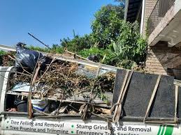 Best Shed Removal  in Gman, IL